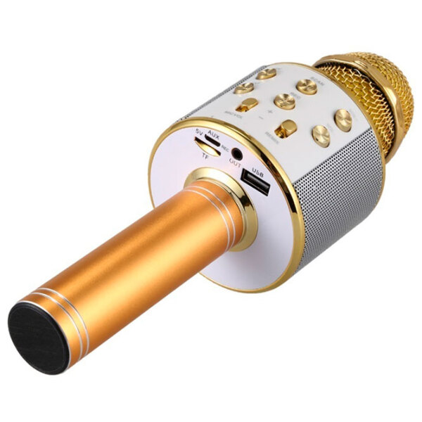 Microfon Helmet KTV WS-858 Gold  photo 2