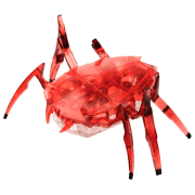 Робот Hexbug Scarab Разноцветный 