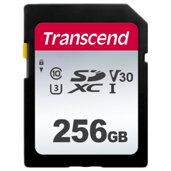 SD Card Transcend SD Card 256 GB  photo 1