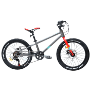Bicicletă Crosser Kids Bike 20" Gray Aluminiu / Pentru copii
