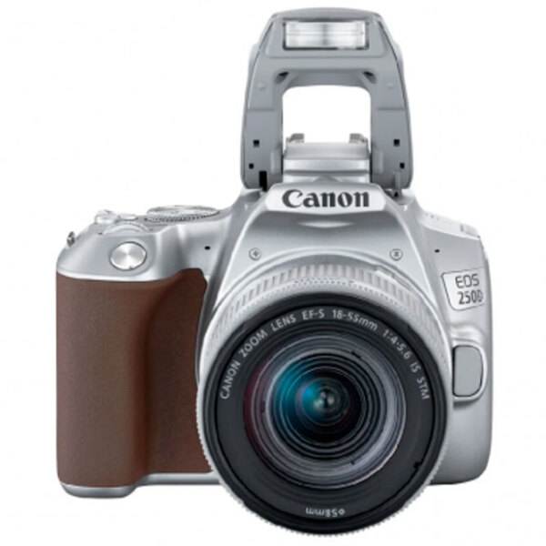 Cameră foto Canon EOS 250D + EF-S 18-55mm F4-5.6 IS STM Kit Silver CMOS, 24.1 MP, f/ 4 - f/ 5.6 photo 4