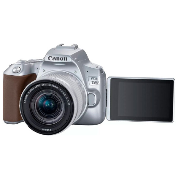 Cameră foto Canon EOS 250D + EF-S 18-55mm F4-5.6 IS STM Kit Silver CMOS, 24.1 MP, f/ 4 - f/ 5.6 photo 5