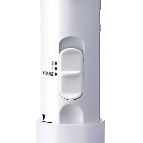 Оральный ирригатор Panasonic EW-DJ40-W520 Белый  photo 2
