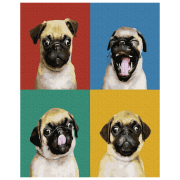 Pictură pe numere BrushMe Colaj MOPS GX37566 50 x 40 cm, P&acirc;nză