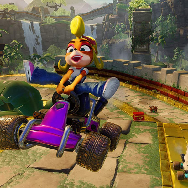 Crash Team Racing Nitro-Fueled Nintendo Switch Racing / 10+ photo 4