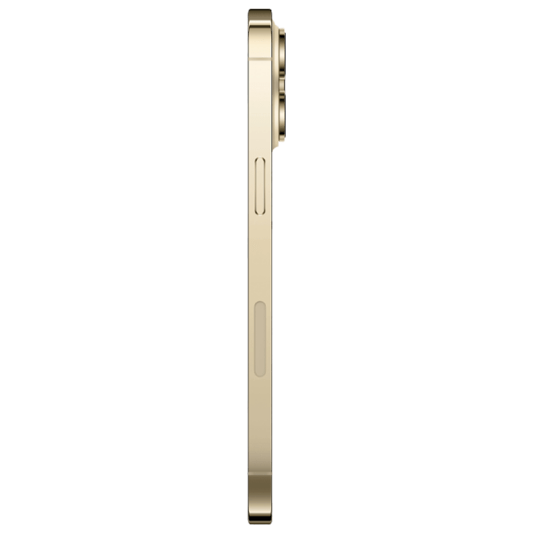Apple iPhone 14 Pro Max 1 TB Gold 6.7" | 48 MP | 6 GB | Dual SIM photo 4