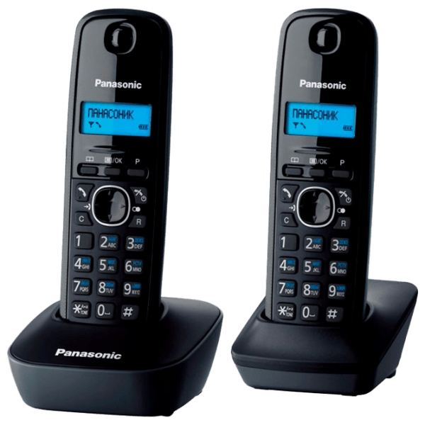 Dect Phone Panasonic KX-TG1612UAH Серый  photo 1