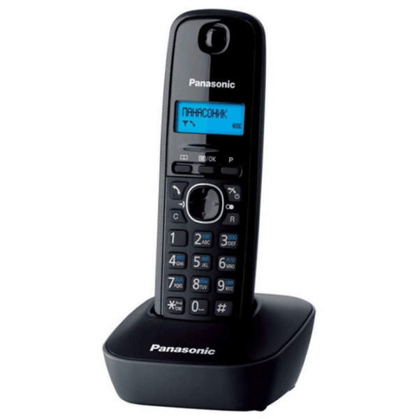 Dect Phone Panasonic KX-TG1612UAH Серый  photo 2