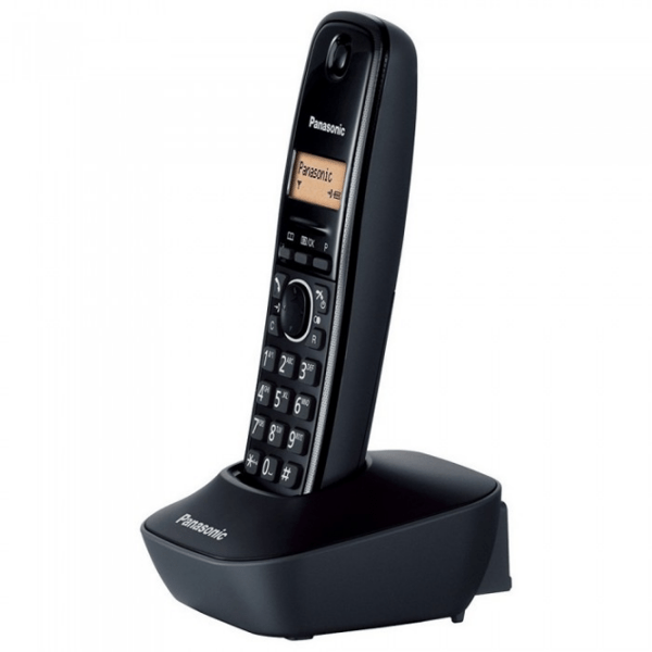 Dect Phone Panasonic KX-TG1612UAH Серый  photo 3