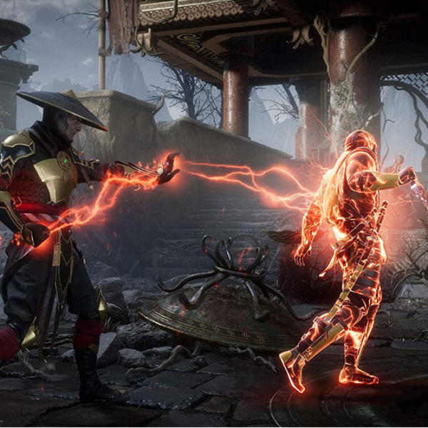 Mortal Kombat 11 Premium Edition PlayStation 4 Fighting / 18+ photo 2