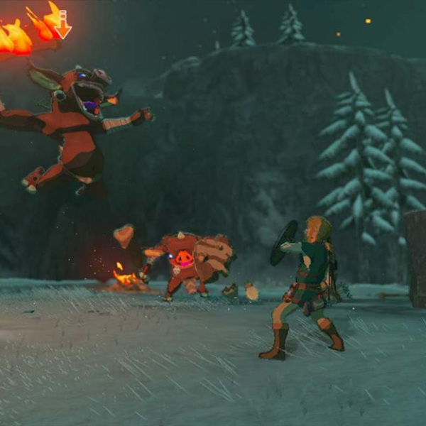The Legend of Zelda Breath of the Wild Nintendo Switch Action / 16+ photo 2