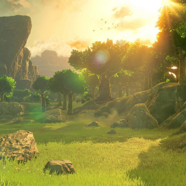 The Legend of Zelda Breath of the Wild Nintendo Switch Action / 16+ photo 6