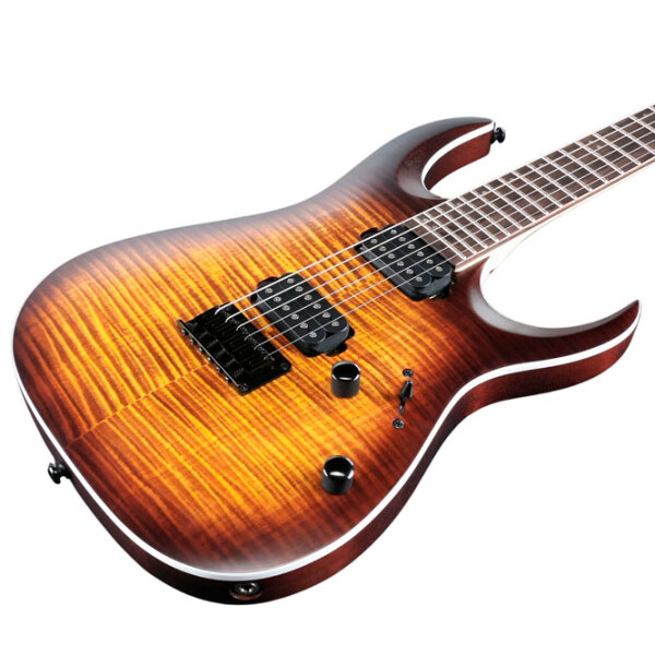 Chitară electrică Ibanez RGA42FM-DEF
Dragon Eye Burst Flat Superstrat photo 4