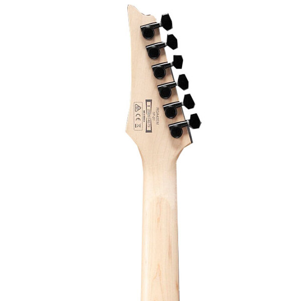 Chitară electrică Ibanez RGA42EX
Black Aurora Burst Matte RGA, 4/ 4 photo 5