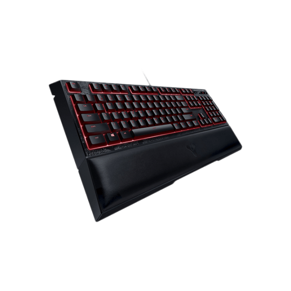 Tastatură Razer Ornata Chroma Destiny 2 Black Gaming, Cu fir photo 4