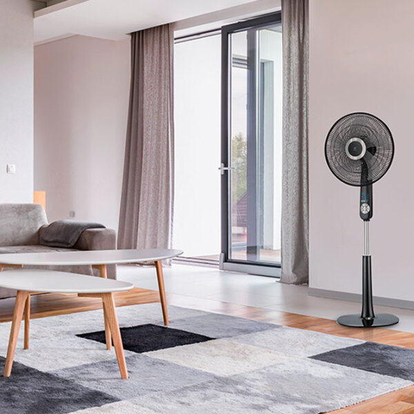 Вентилятор Electrolux EFF-1004i Черный 50 Вт, Механическое, Количество скоростей: 6 photo 3