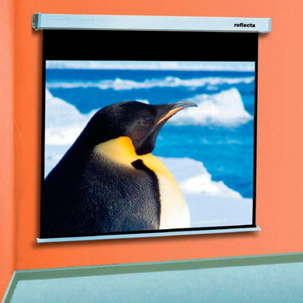 Ecran pentru proiector EliteScreens Reflecta CrystalLine (16:9) White Pe perete, Lățime ecran: 200 cm, &Icirc;nălțime ecran: 152 cm photo 2