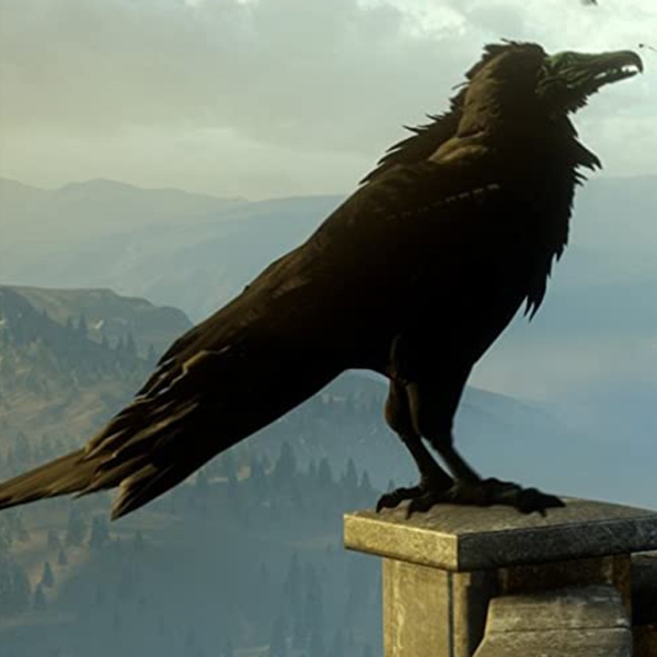  Dragon Age Inquisition Xbox One Action / 18+ photo 7