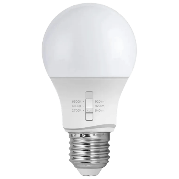 Лампочка светодиодная Fumagalli HLEDA60CCT E27 | 8.5 Вт | White photo 1