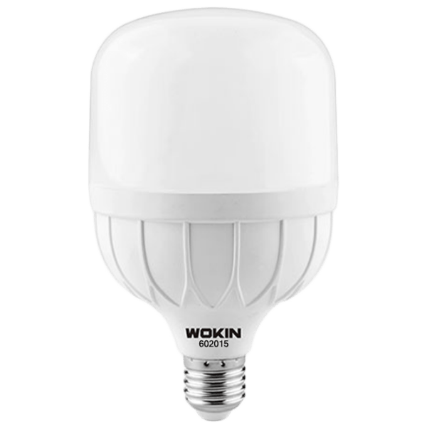 Лампочка светодиодная Wokin 602120 E27 | 20 Вт | White photo 1