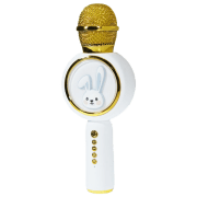 Microfon Helmet BT X6 Gold 