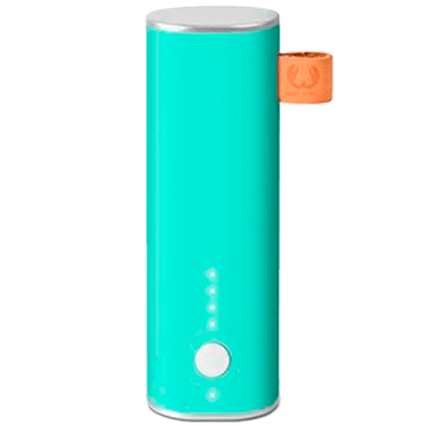 Power Bank 3000 мАч Fresh 'N Rebel 1 Port Зеленый  photo 1
