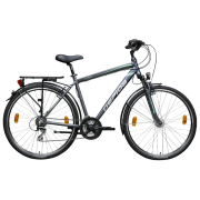 Bicicletă Gepida Alboin 200 PRO 28" 21" Gray Green Oțel / Pentru adulți