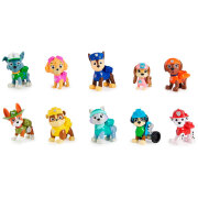 Figurină Spin Master Paw Patrol Set Eroi 3+ / Multicolor