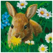 Pictură pe numere Strateg Iepurele în flori CA-0032 30 x 30 cm, P&acirc;nză