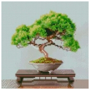 Pictură pe numere Strateg Bansai CA-0034 30 x 30 cm, P&acirc;nză