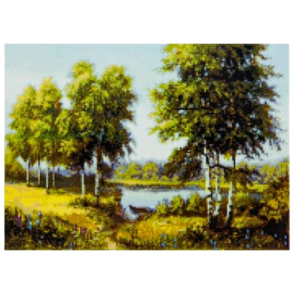 Pictură pe numere Strateg Birch Grove FA40494 50 x 40 cm, P&acirc;nză photo 1