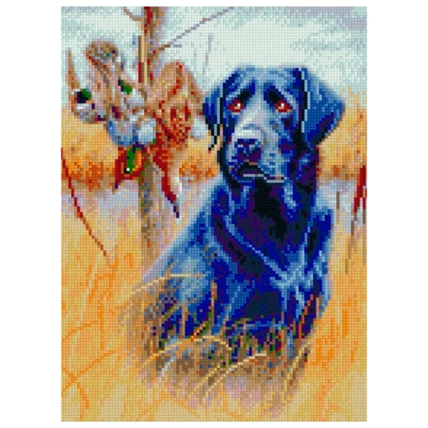 Pictură pe numere Strateg Labrador pe teren HX276 40 x 30 cm, P&acirc;nză photo 1