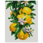 Pictură pe numere Strateg Lămâi HX440 50 x 40 cm, P&acirc;nză