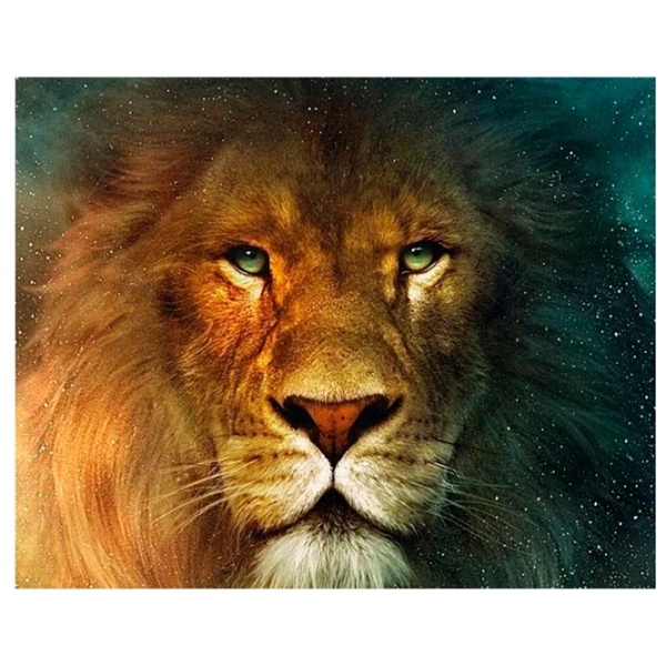 Pictură pe numere Strateg Leul - regele animalelor VA-0899 50 x 40 cm, P&acirc;nză photo 1