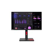 Монитор Lenovo ThinkVision T24i-30 Черный 23.8" Full HD IPS WLED