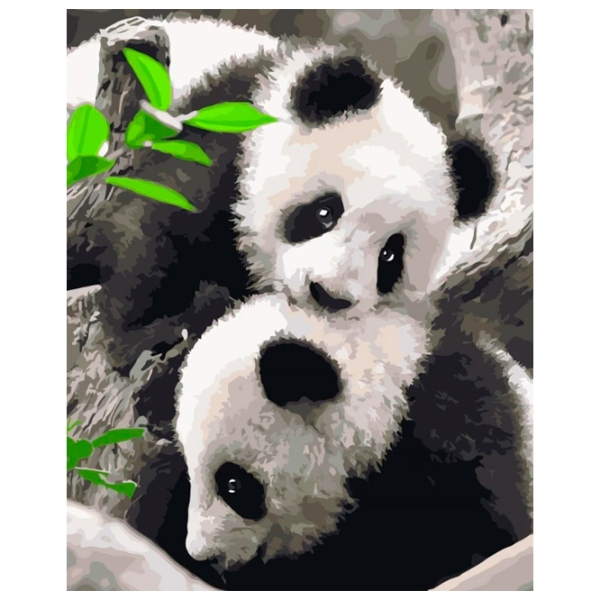 Pictură pe numere Strateg Panda VA-3630 50 x 40 cm, P&acirc;nză photo 1