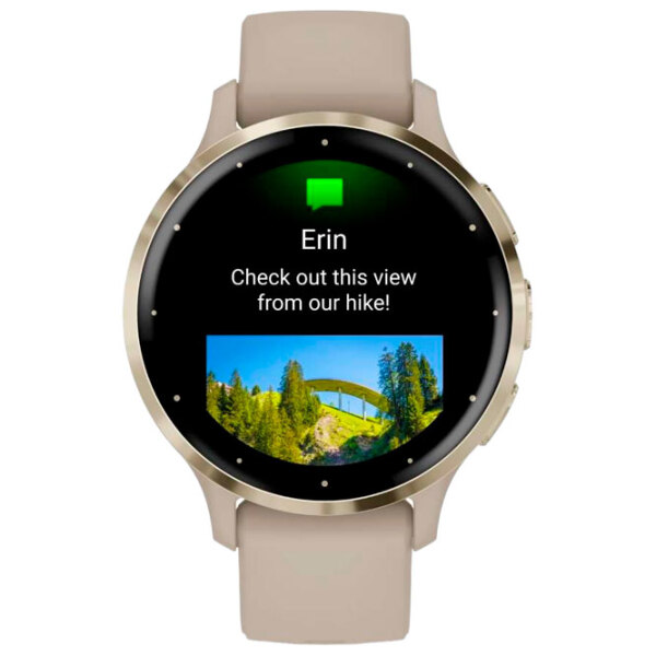 Умные часы Garmin Venu 3S Золото 1.2" | 41 мм | Нержавеющая сталь/Силикон
| 010-02785-02 photo 2