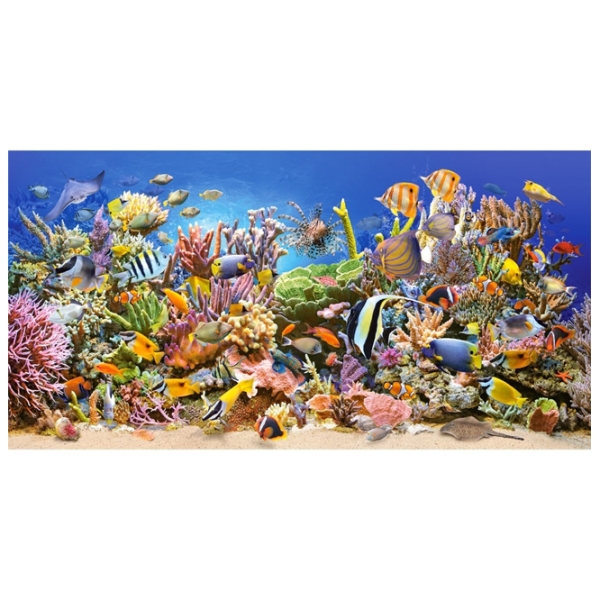 Puzzle 2D Castorland Underwater Life (C-400089) Numărul de piese: 4000, V&acirc;rsta recomandată: 9+ photo 2