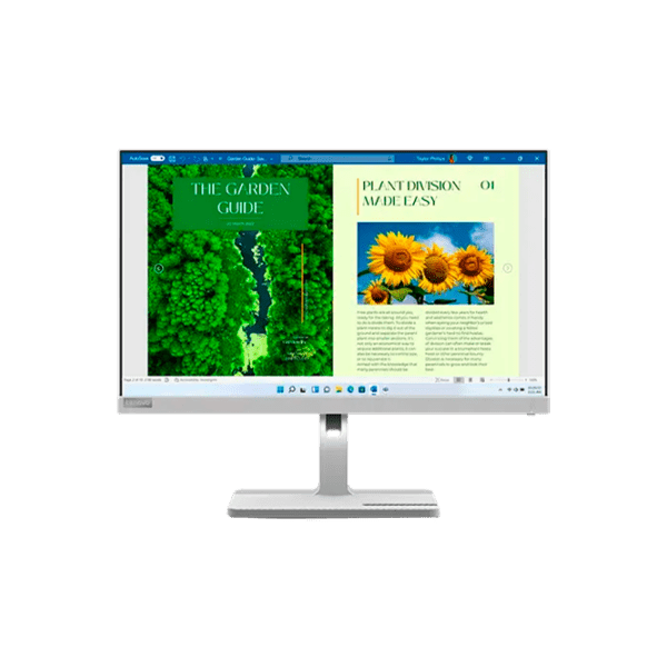 Монитор Lenovo L24m-40 Серебристый 23.8" Full HD IPS WLED photo 1