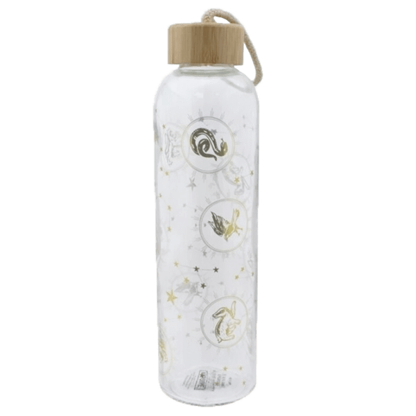 Sticlă pentru apă Paladone Glass Water Bottle Multicolor 0.59l photo 1