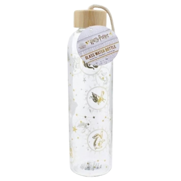 Sticlă pentru apă Paladone Glass Water Bottle Multicolor 0.59l photo 2