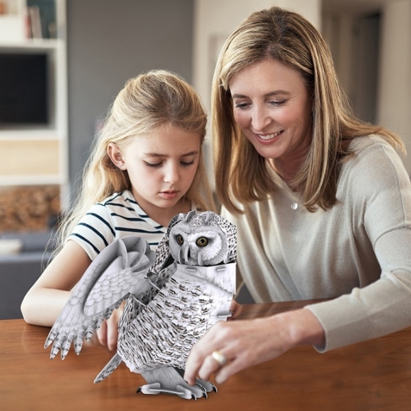 Пазл 3D CubicFun Snowy Owl (DS1079h) Количество деталей: 32, Рекомендуемый возраст: 8+ photo 3