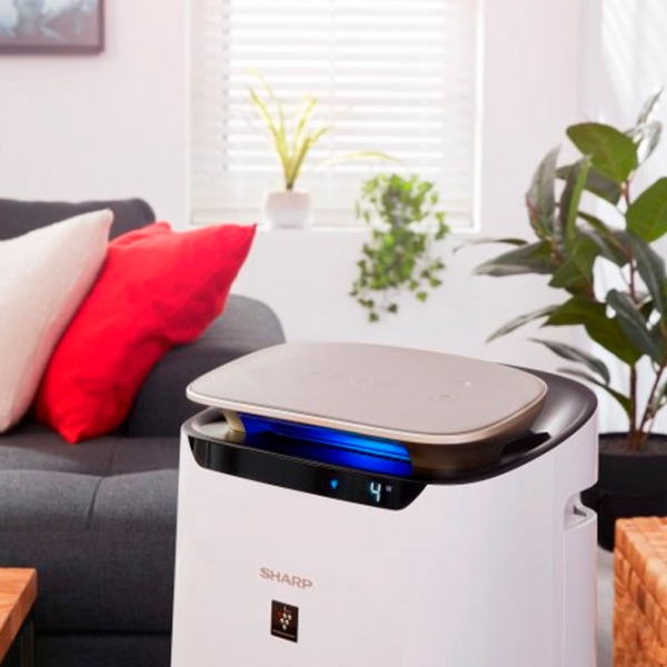 Purificator de aer SHARP FP-J80EU-W White  photo 4
