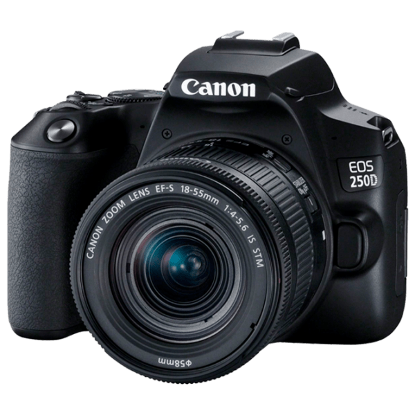 Cameră foto Canon EOS 250D + EF-S 18-55mm F4-5.6 IS STM + Kit Black CMOS, 24.2 MP, F 4.0 - F 5.6 photo 1