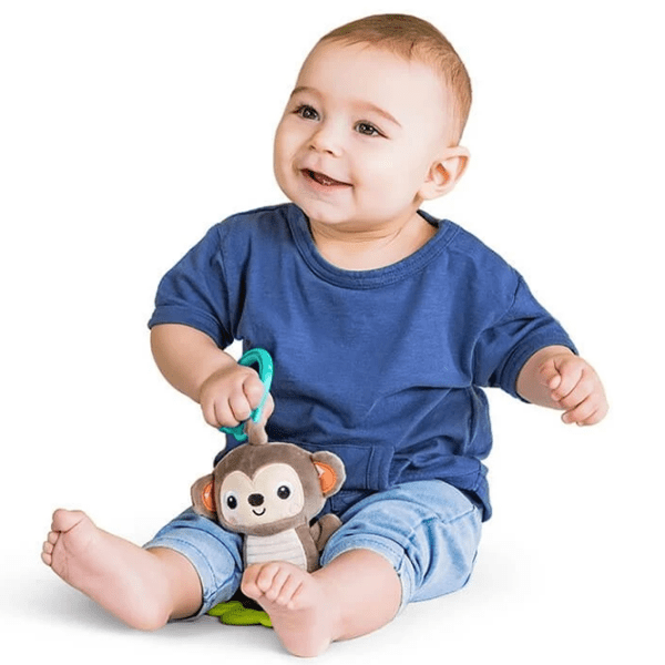 Игрушка для колясок и кроваток Bright Starts Tug Tunes 074451091795 Коричневый 0+ photo 3