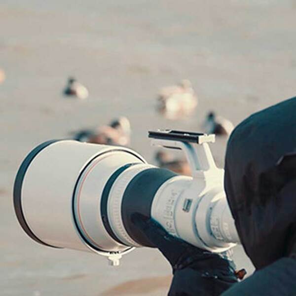 Объектив Canon RF 800mm f/ 5.6 L IS USM, Черный  photo 5