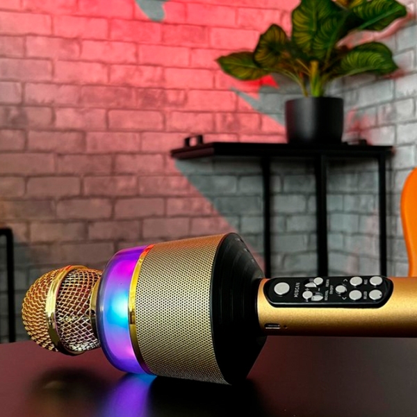 Микрофон N-Gear Star Mic 100 Золото  photo 3