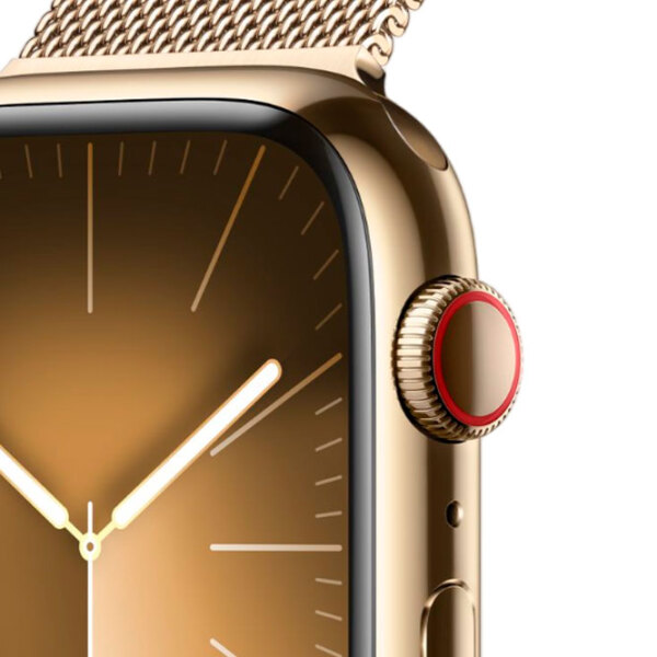 Умные часы Apple Watch Series 9 Золото 1.69" | 41 мм | Нержавеющая сталь/ Нержавеющая сталь| MRJY3 photo 7