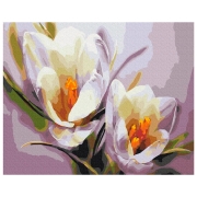 Pictură pe numere BrushMe Crocuși 50 x 40 cm, P&acirc;nză