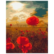 Pictură pe numere BrushMe Maci sub soarele arzător 50 x 40 cm, P&acirc;nză